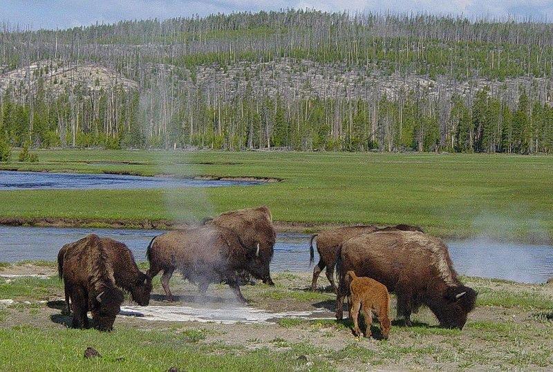 Crosswinds 3* West Yellowstone